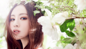 汉堡决胜千里，顺利实现擒贼先擒王策略