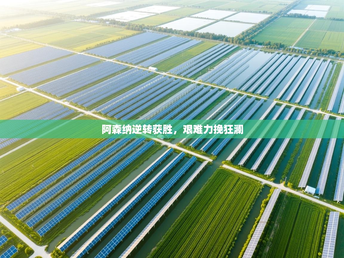 阿森纳逆转获胜,艰难力挽狂澜 第2张