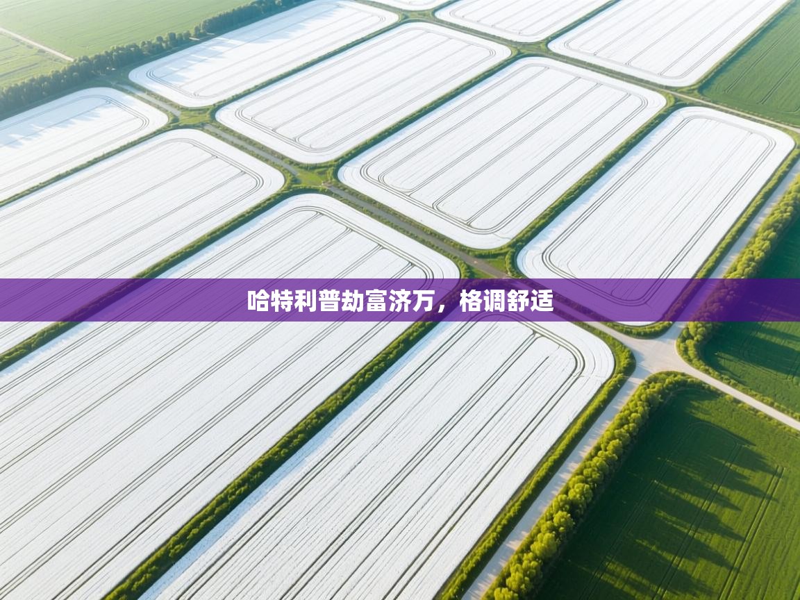 哈特利普劫富济万，格调舒适